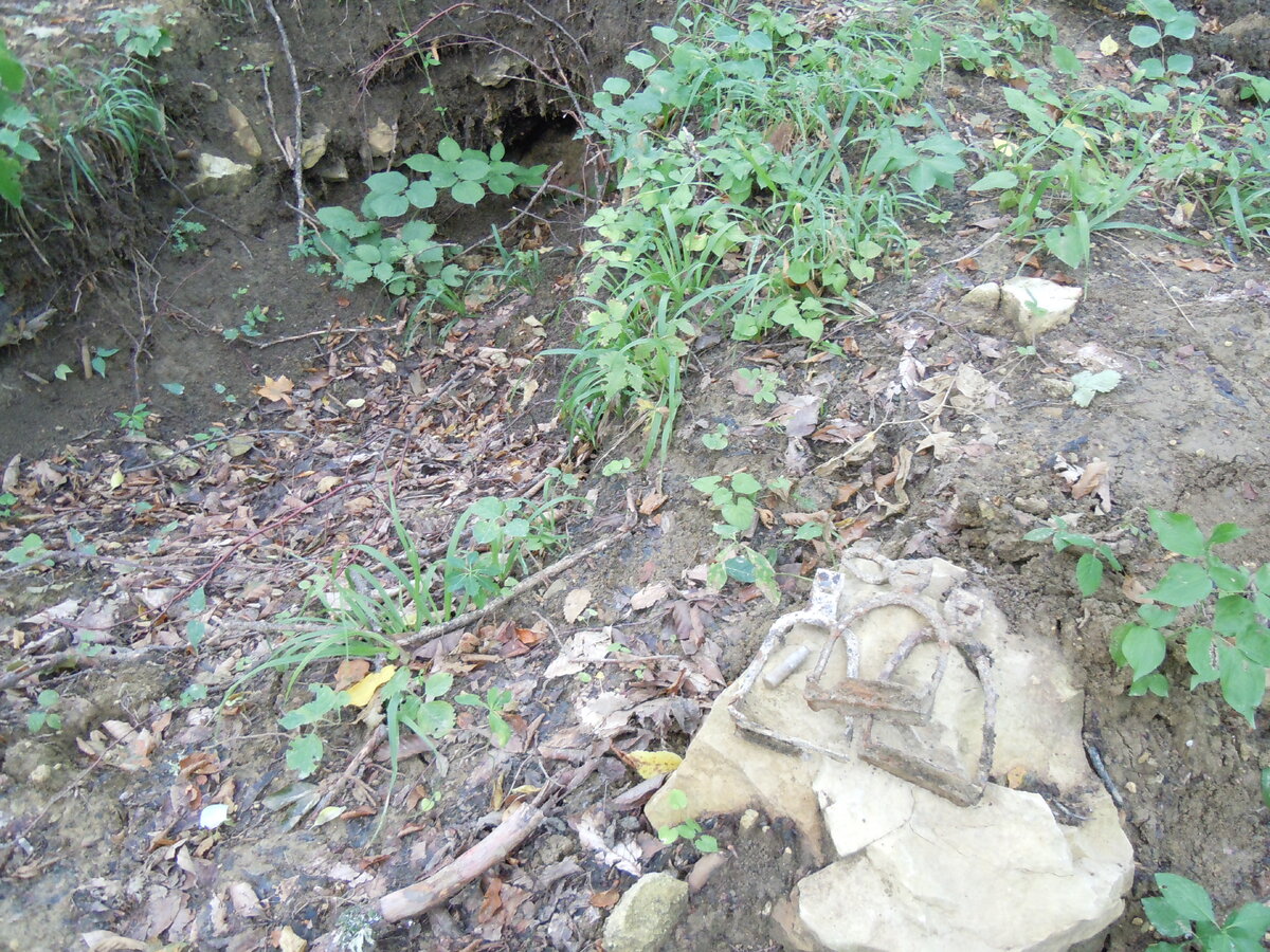 4 сентября 2014 года Теперь о другом. Сейчас на самой восточной Богатырской поляне работают лесозаготовители. Ниже показаны результаты их деятельности.-19