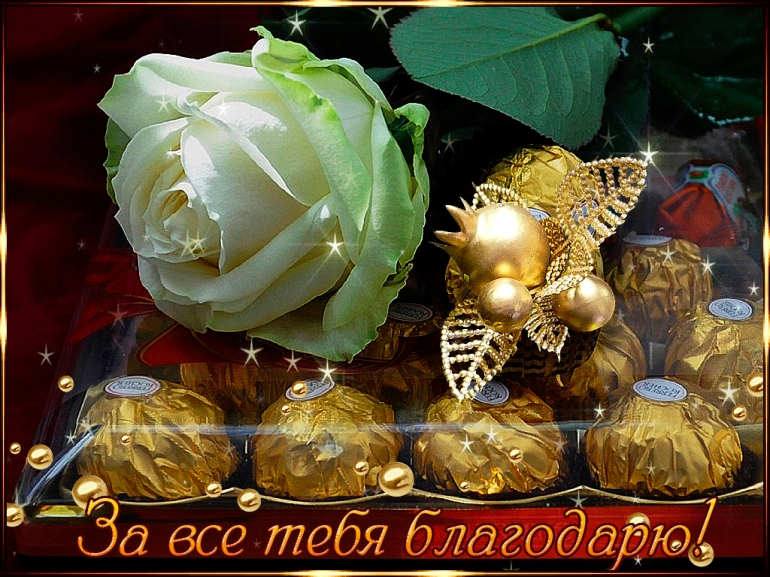Всех благодарю картинки