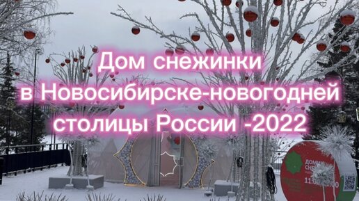 Пьяное застолье, на встрече русских свингеров в Новосибирске (11 из 17)