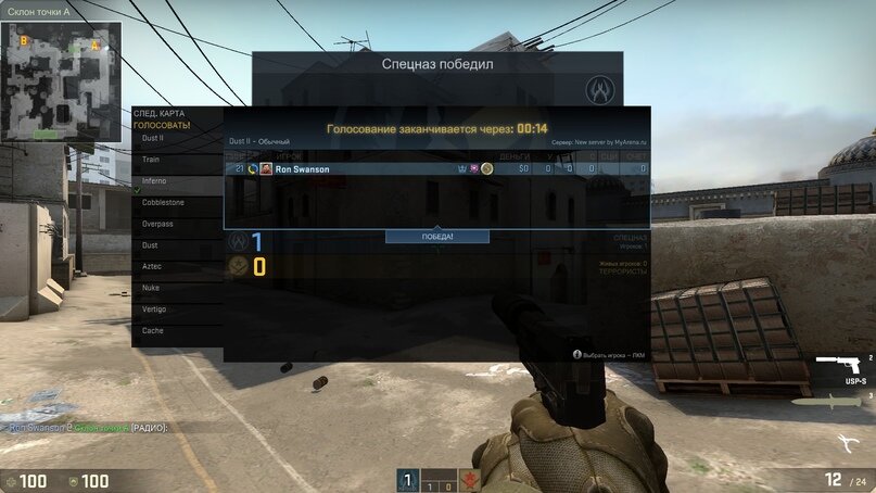 Рисунок 1. Скриншот стандартного встроенного голосования за следующую карту.