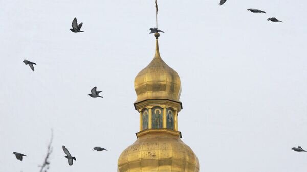   © РИА Новости . Алексей Куденко