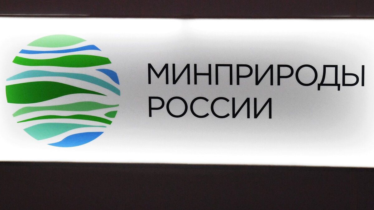    Логотип Министерства природных ресурсов и экологии Российской Федерации. Минприроды РФ© РИА Новости . Виталий Аньков