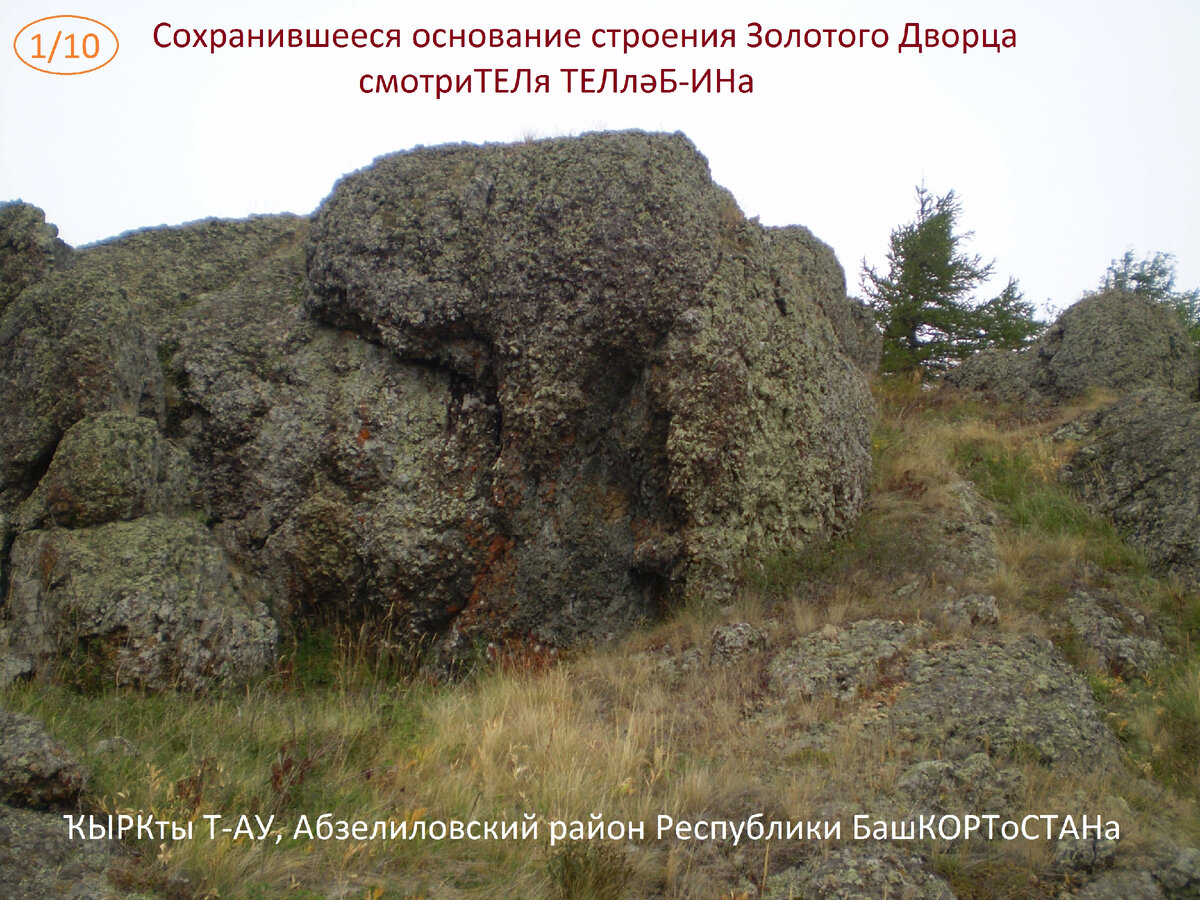 ФОТО. автора.