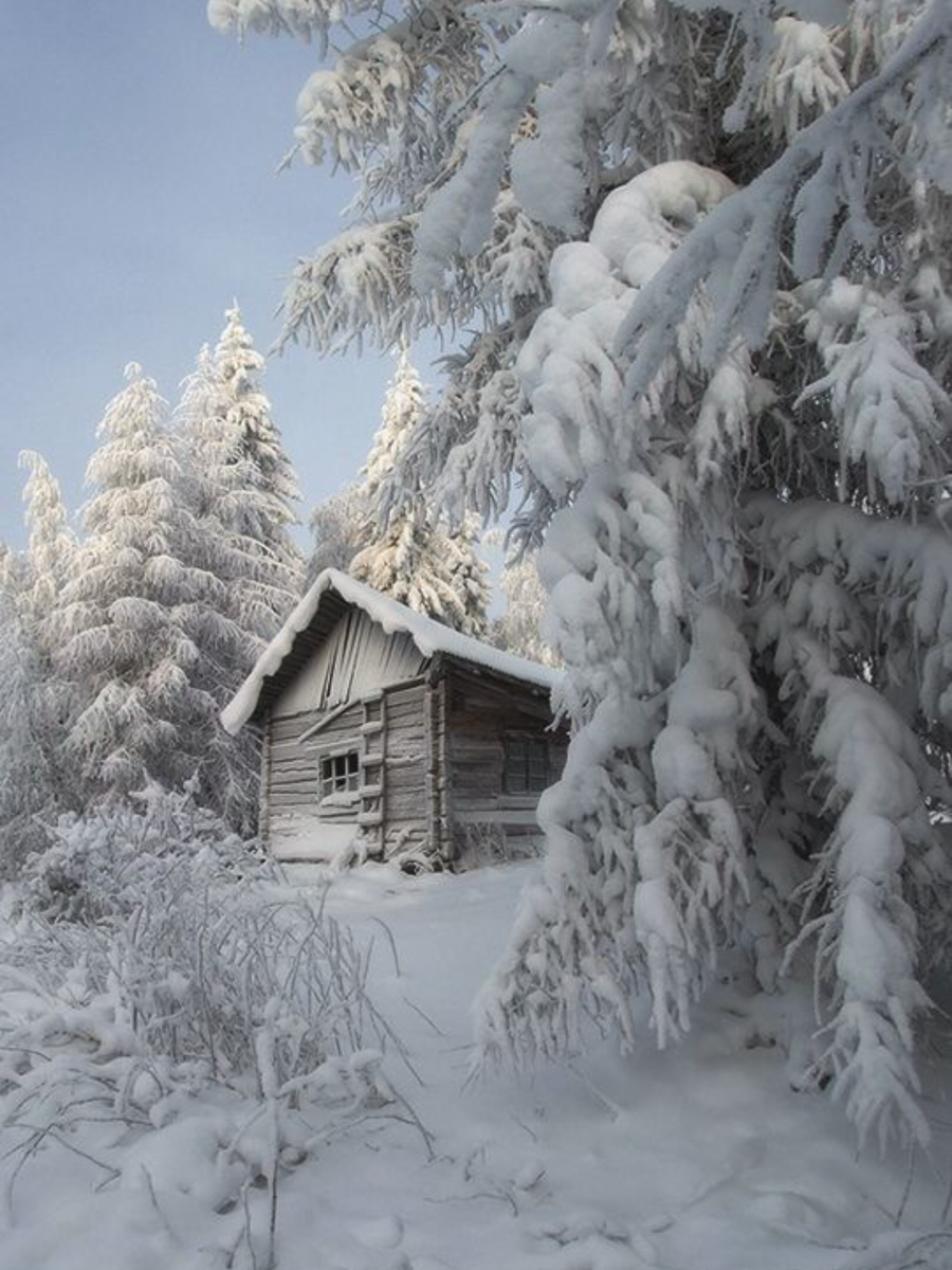 Яндекс.Картинки