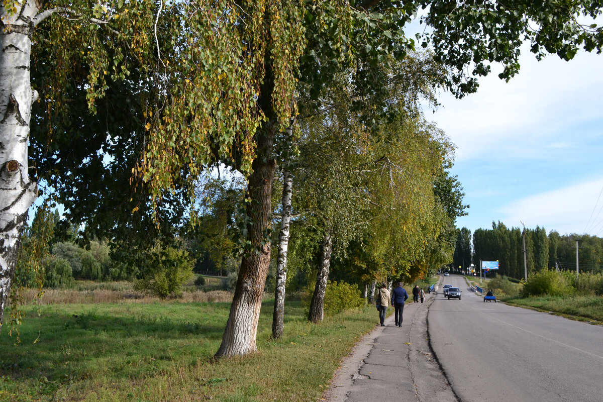 Вдоль берез и тополей. Улица Мира (здесь и далее все фото автора)