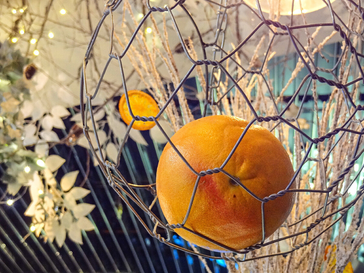 Фото из личного архива 
