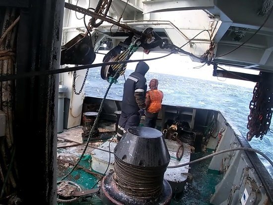     Фото: Кадр из видео.