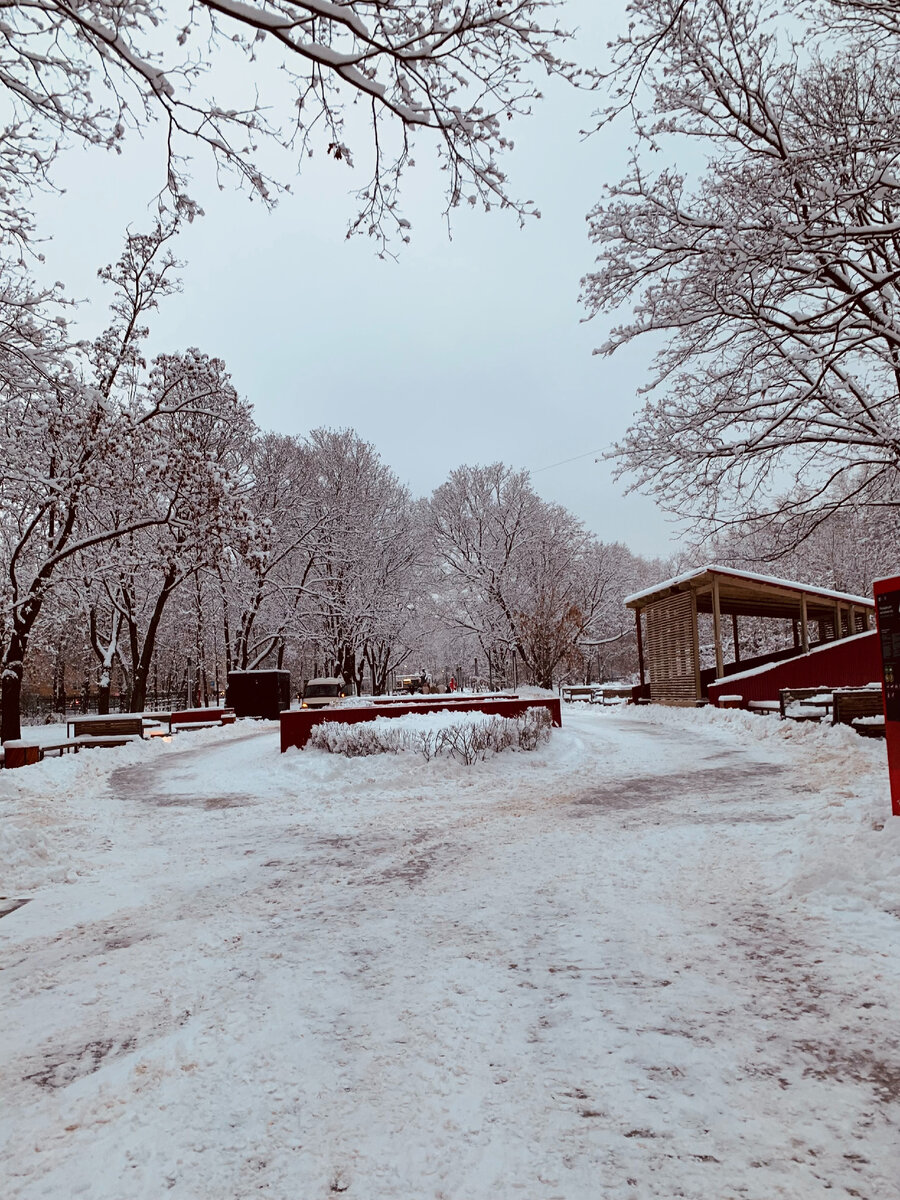 Все права на фото и рассказ принадлежат автору. Запрещается копирование, распространение или любое иное использование информации и объектов авторского права без предварительного согласия правообладателя. 
