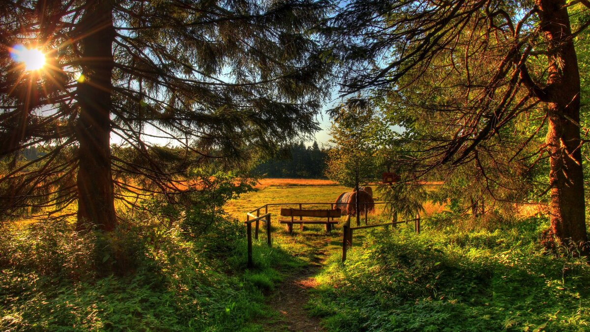 Из открытых источников Яндекс