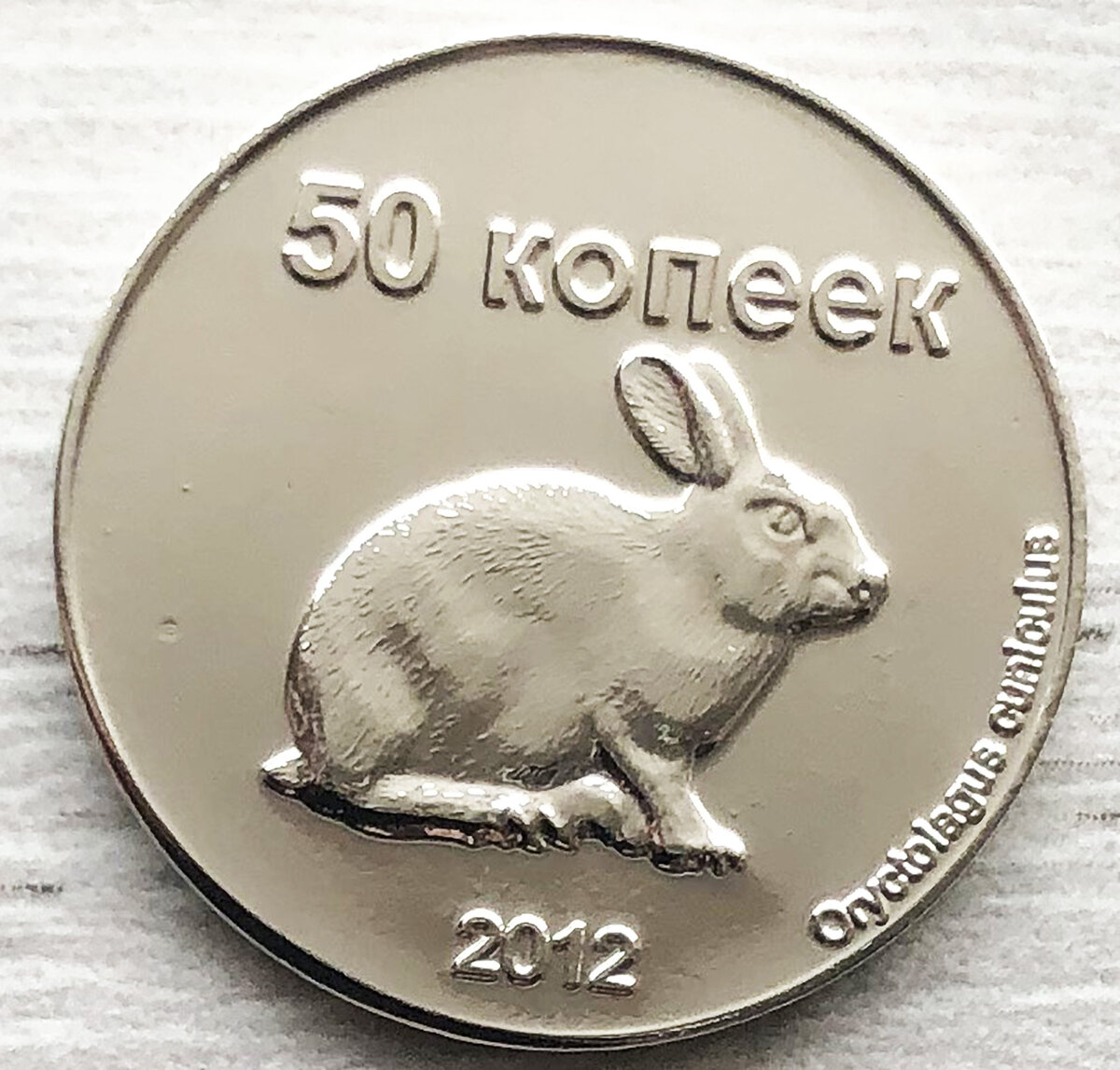 50 копеек Кролик Домашний.