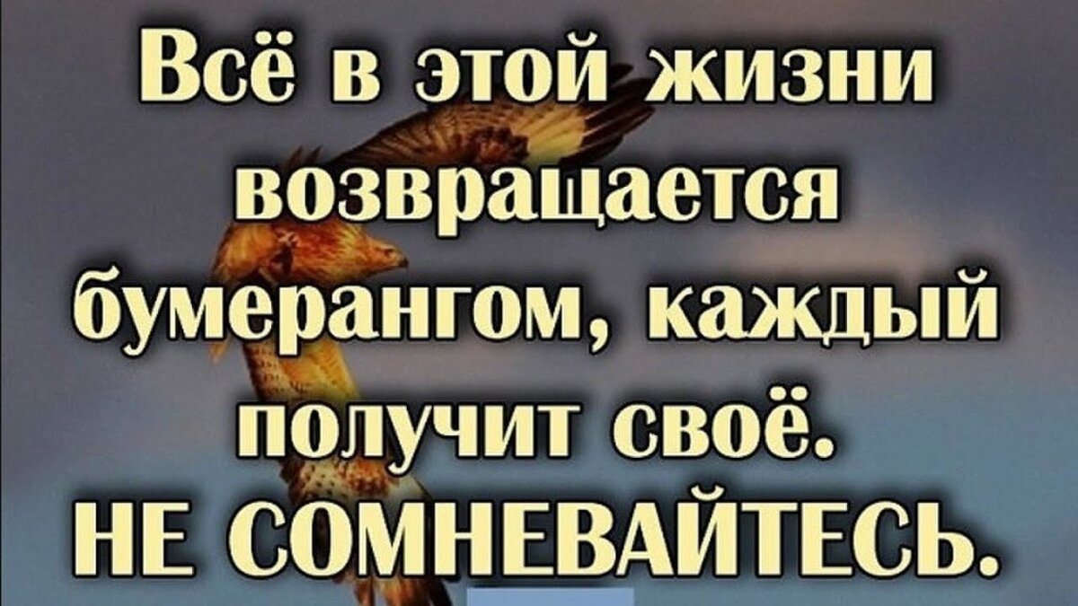 Которые получаются из за. Закон бумеранга никто не отменял цитаты. Жизнь Бумеранг. Статусы про Бумеранг в жизни. Жизнь Бумеранг цитаты.