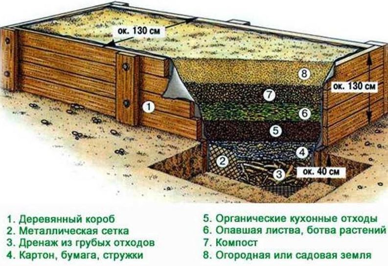 Как оформить красивые грядки: полезные советы и варианты дизайна своими руками (72 фото)