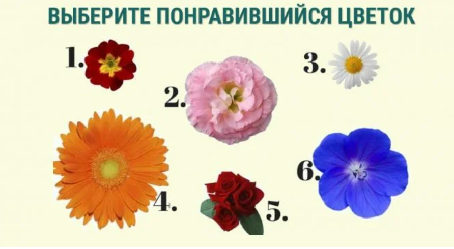 Изображение взято с открытых источников 