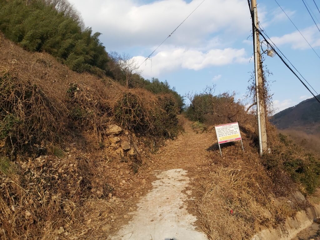 Тропинка к камельнику