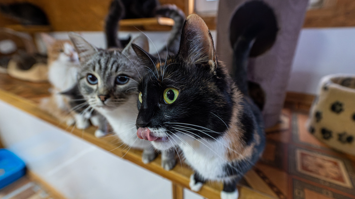 KOMSOMOLSKAYA PRAVDA/GLOBAL LOOK PRESS 