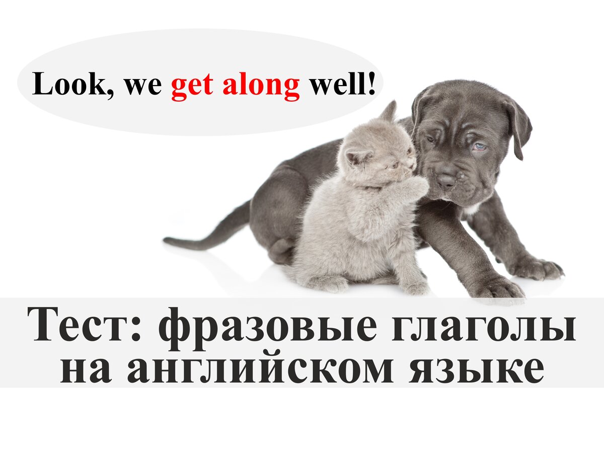 Опять на английском языке. Опять английский. Опять на английском языке. Опять английский. Опять английский.