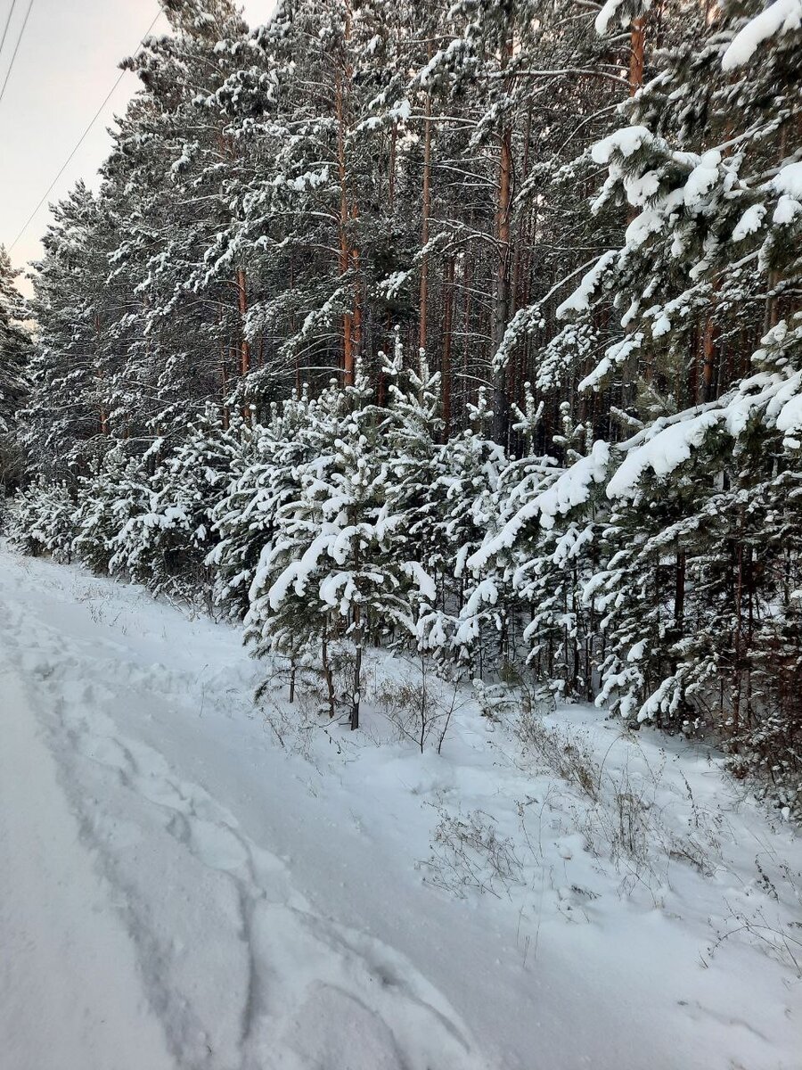 Фото автора.