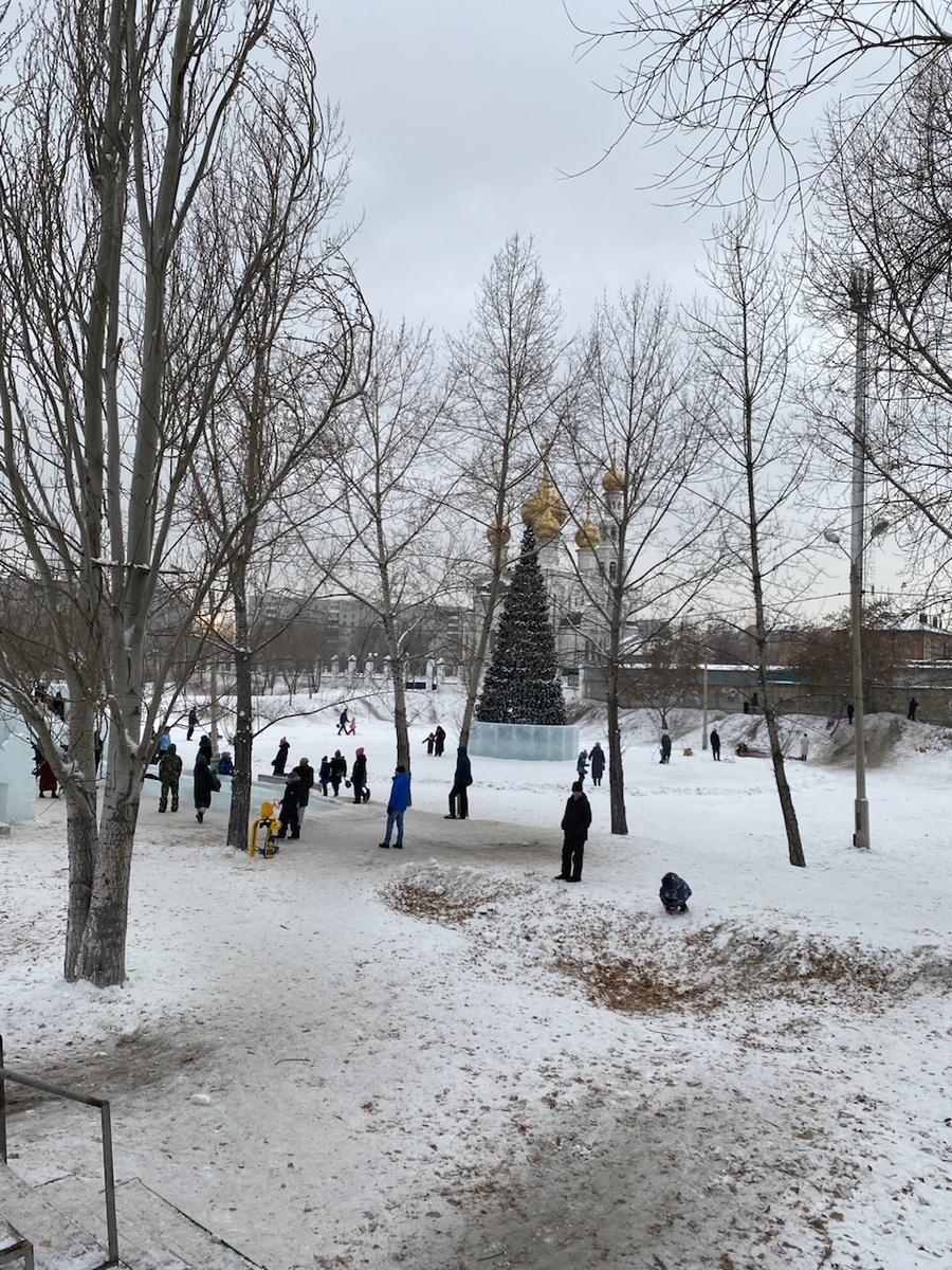 Ёлка на фоне храма