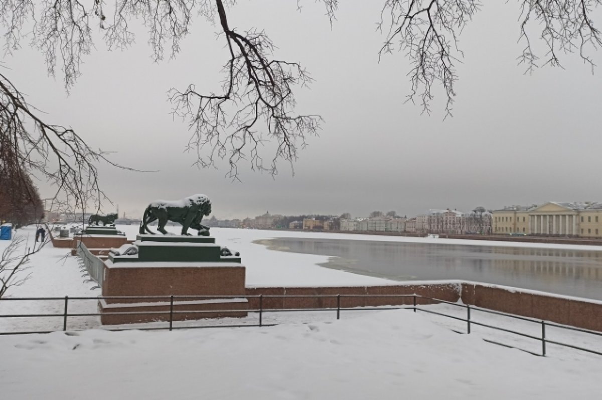    Первая рабочая неделя в 2023 году в Петербурге начнется с морозов