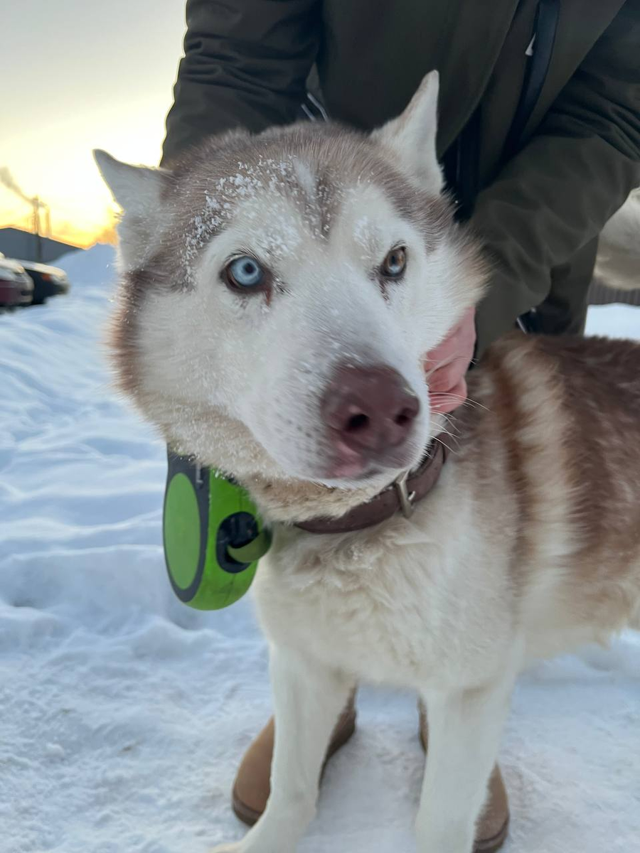 Знакомьтесь, Январь. Ему 10 лет