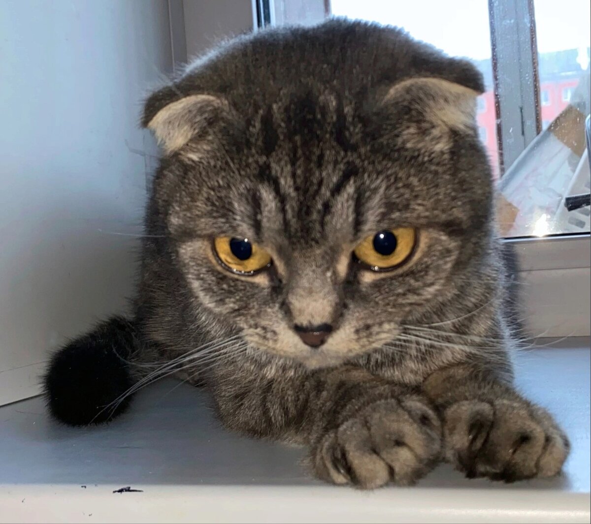 Неожиданная находка в подъезде