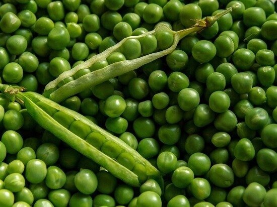     ФОТО: PIXABAY.COM