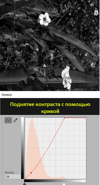 Увеличить контраст картинки