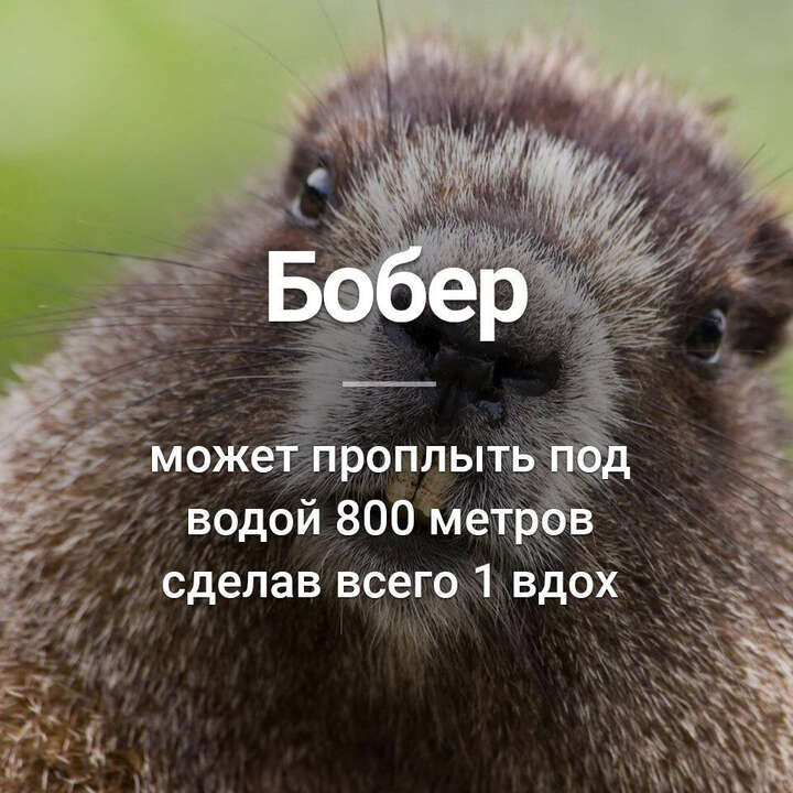 Изображение взято с просторов Интернета 