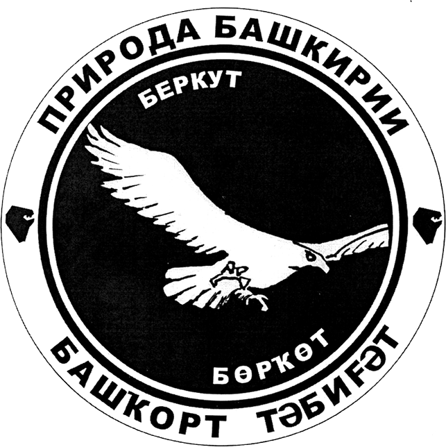 Проект значка