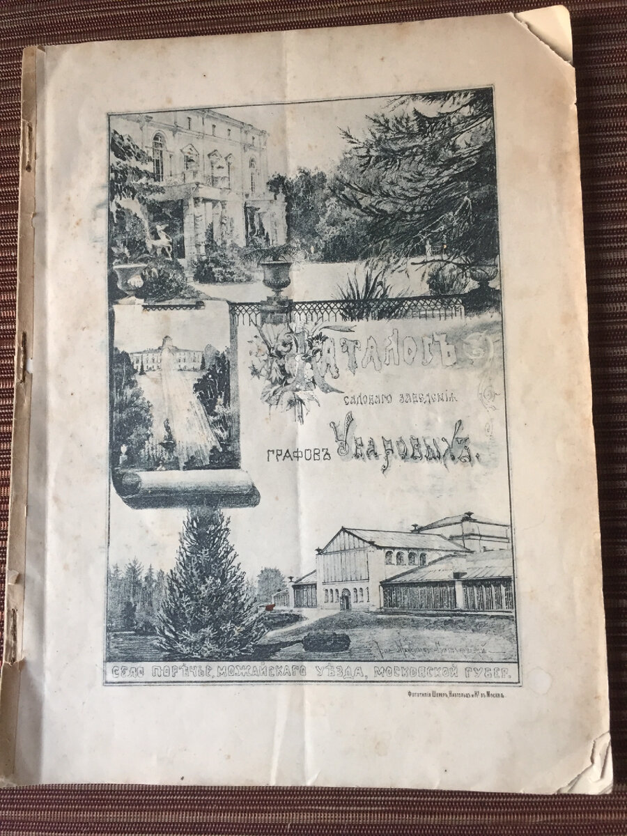 Каталог растений на весну и лето... 1897 года. Что и почем продавали на  рубеже веков? | Всё травы да цветы... | Дзен