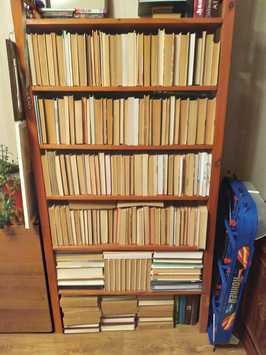 Книжный шкаф минималиста. Из личных архивов.