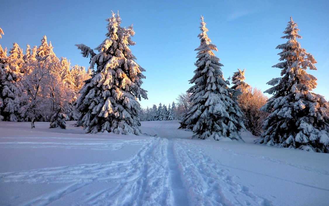 Яндекс.Картинки