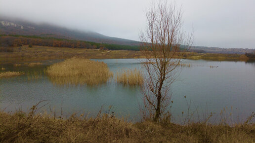 Недооценённое село среди шикарных лесов и гор. Рядом знаменитый Топловский монастырь, куда паломники едут круглый год. Море в 30 мин. езды.