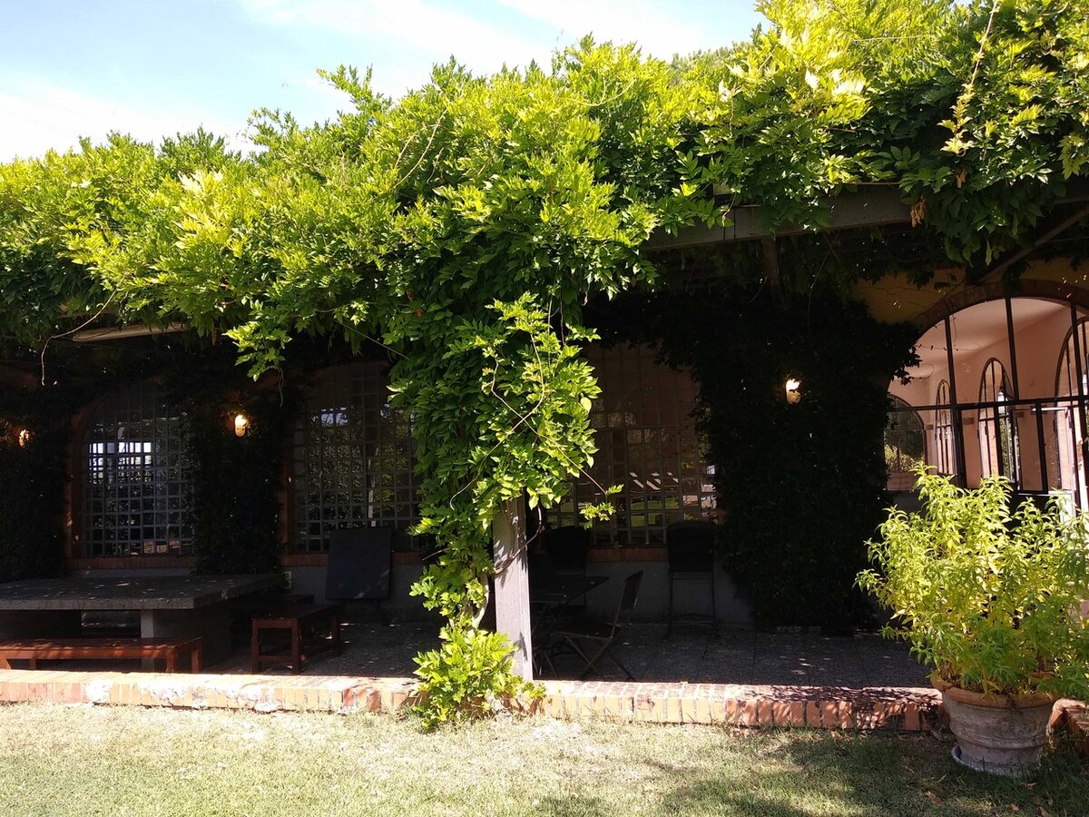 В качестве иллюстраций к этой статье использую фото с выездного тренинга в Италии сент. 2019