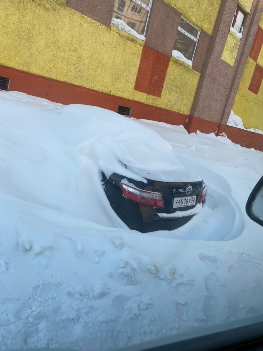 Даже Тойота хочет жить у моря🤣