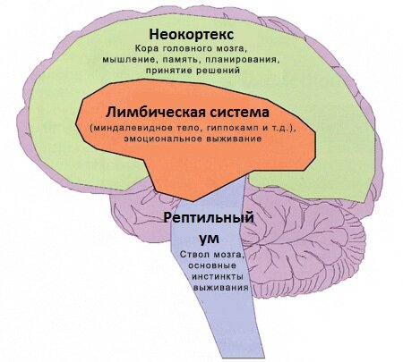 То, что в голове :)