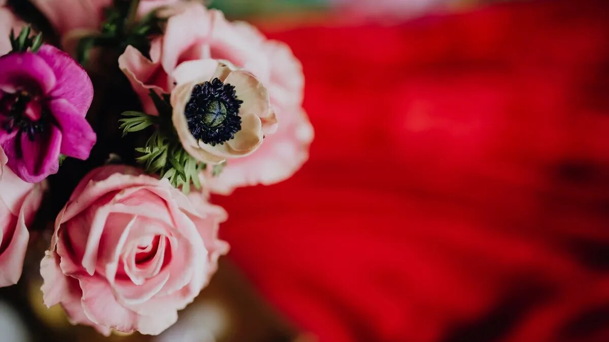 День святого Валентина - День всех влюбленных. Фото: www.piqsels.com