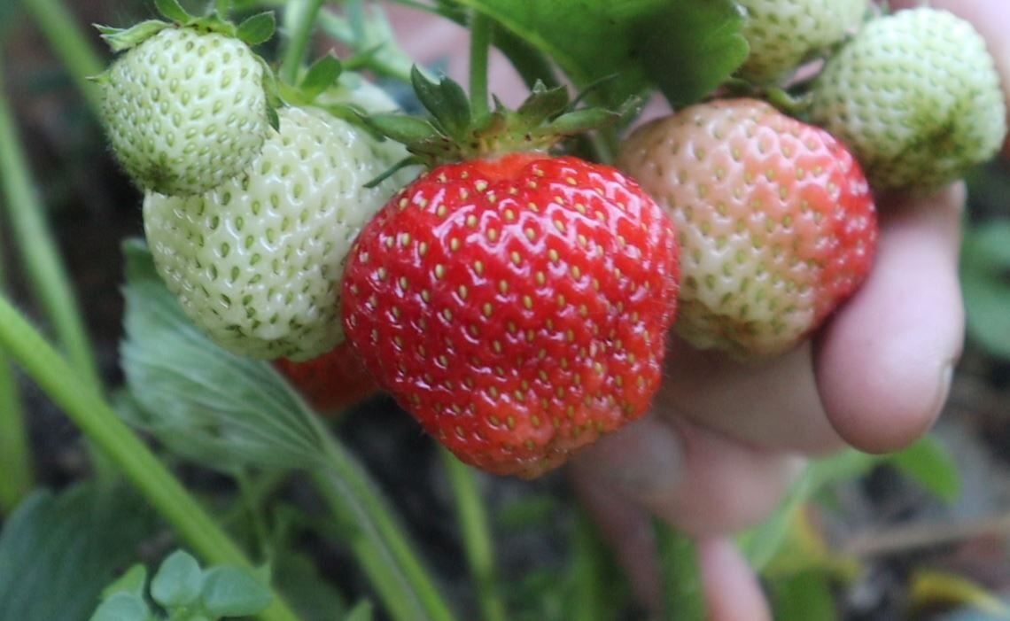 Фото из личного архива.