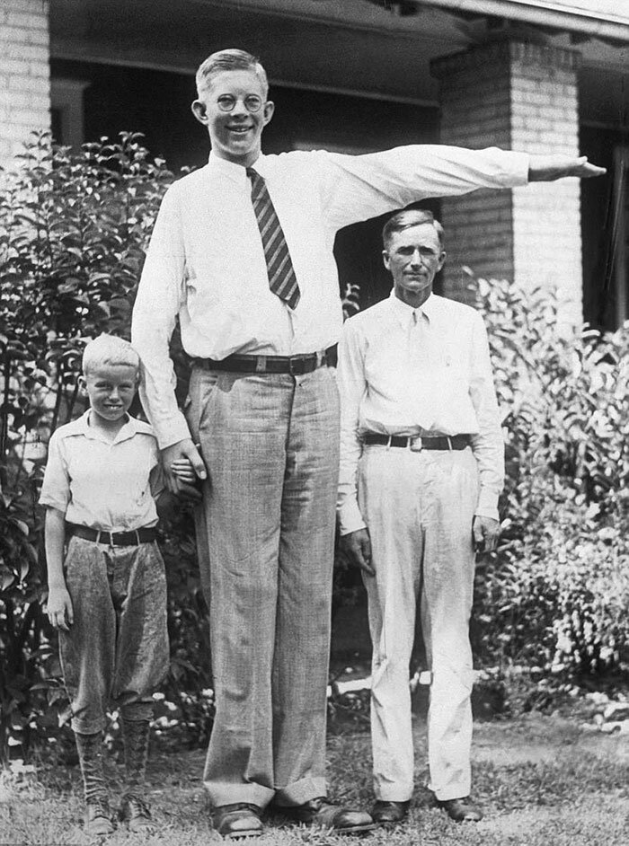 Сами высоки человек. Роберт Першинг Уодлоу. Роберт Першинг Уодлоу рост. Самый высокий человек в мире Роберт Уодлоу. Роберт Уодлоу рост.