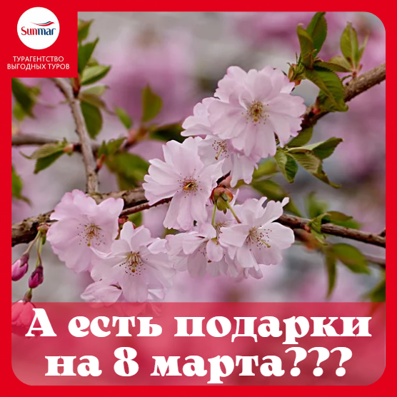 Много вопросов про цены на короткие туры на 8 марта, и «чтоб недалеко»