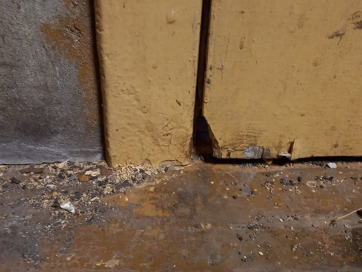 Мышиная дверь и нагрызенные ими в процессе строительства опилки