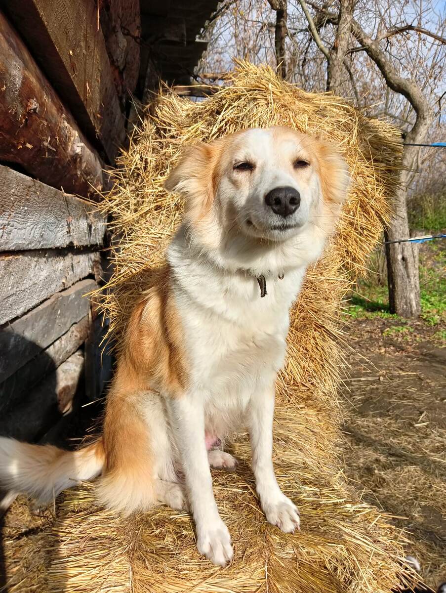 Расслабленная ( до 3 части)