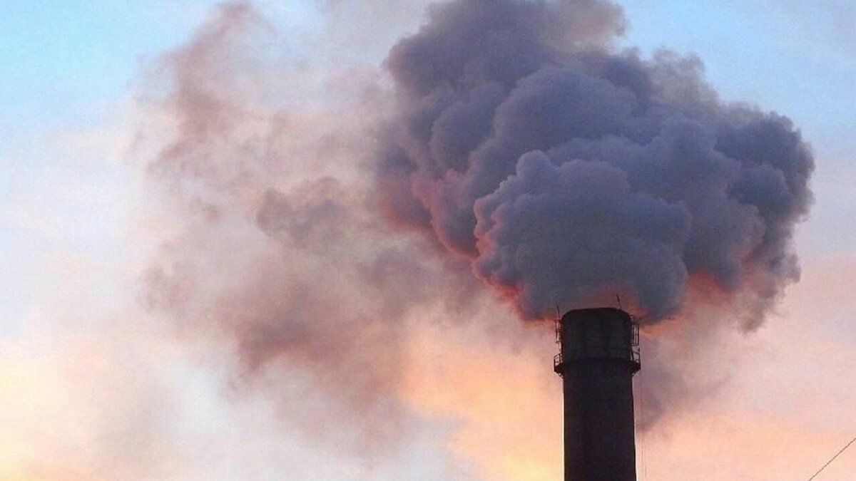     В Можге расследуют уголовное дело по факту отключения тепла. Судебный процесс по обвинению известного адвоката в фейках возобновится 1 февраля. Таможенники аэропорта Кольцово не дали вывезти в Ташкент «золотой» автомат Калашникова.