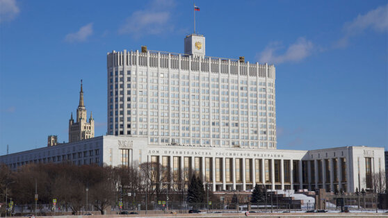    Кабмин РФ утвердил положение о госконтроле за деятельностью иноагентов Ксения Пудовкина