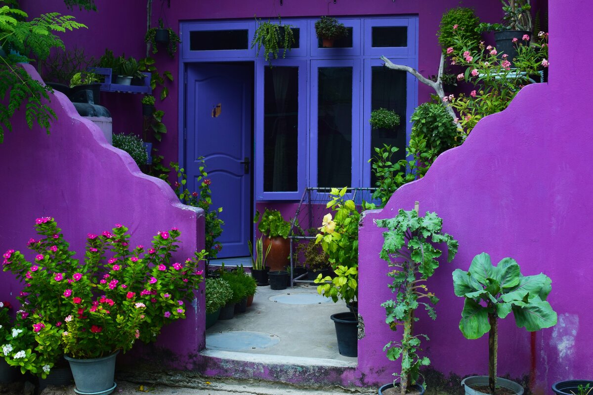 Сектор богатства и удачи по фен-шуй в 2023 году | Vasilisa.Taro | Дзен