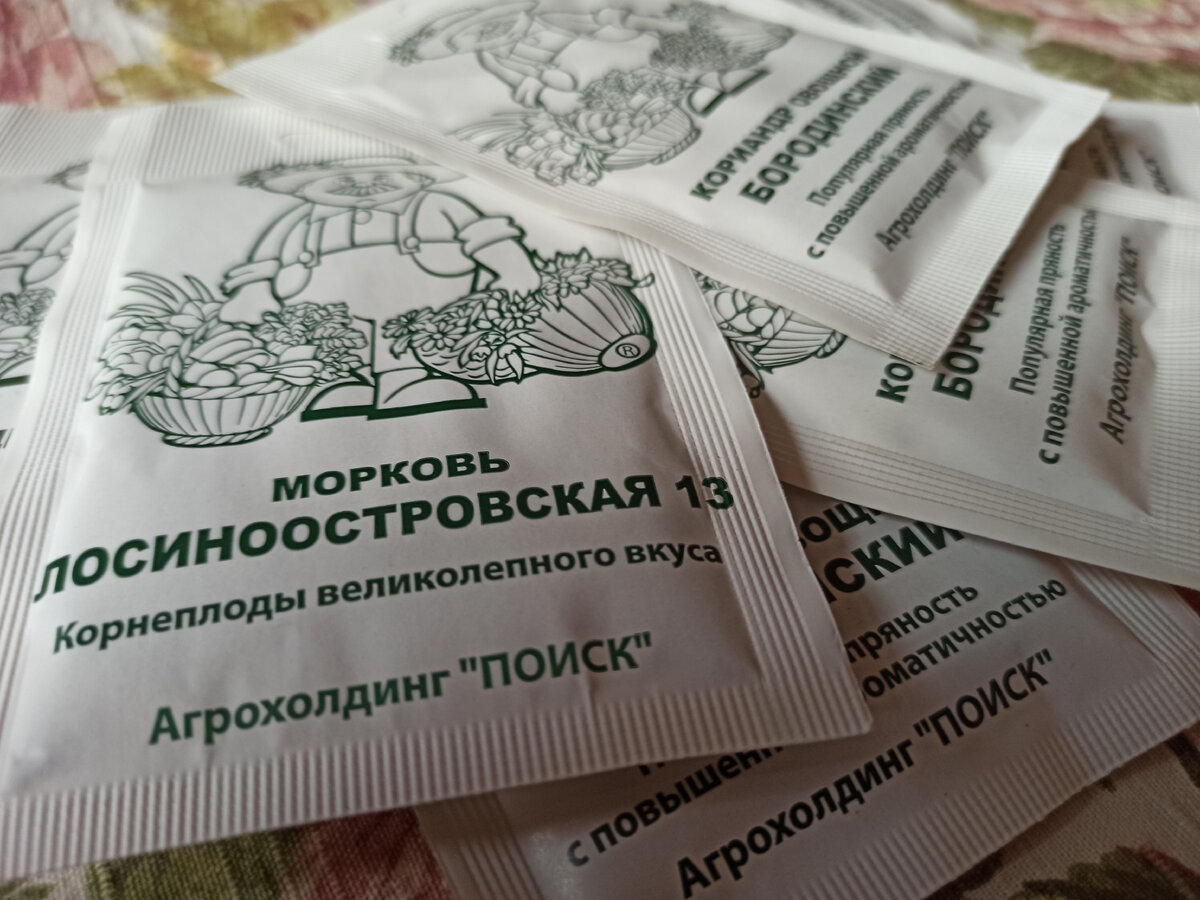 Фото: Алексей Володихин