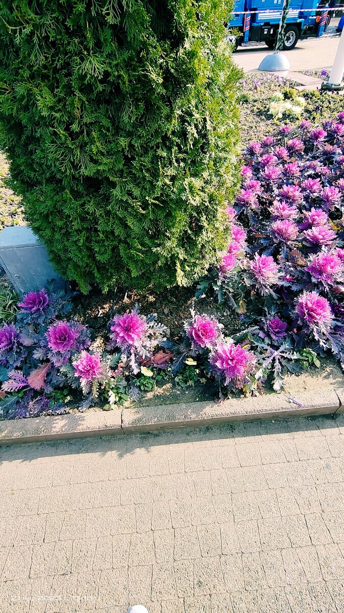 Навагинская