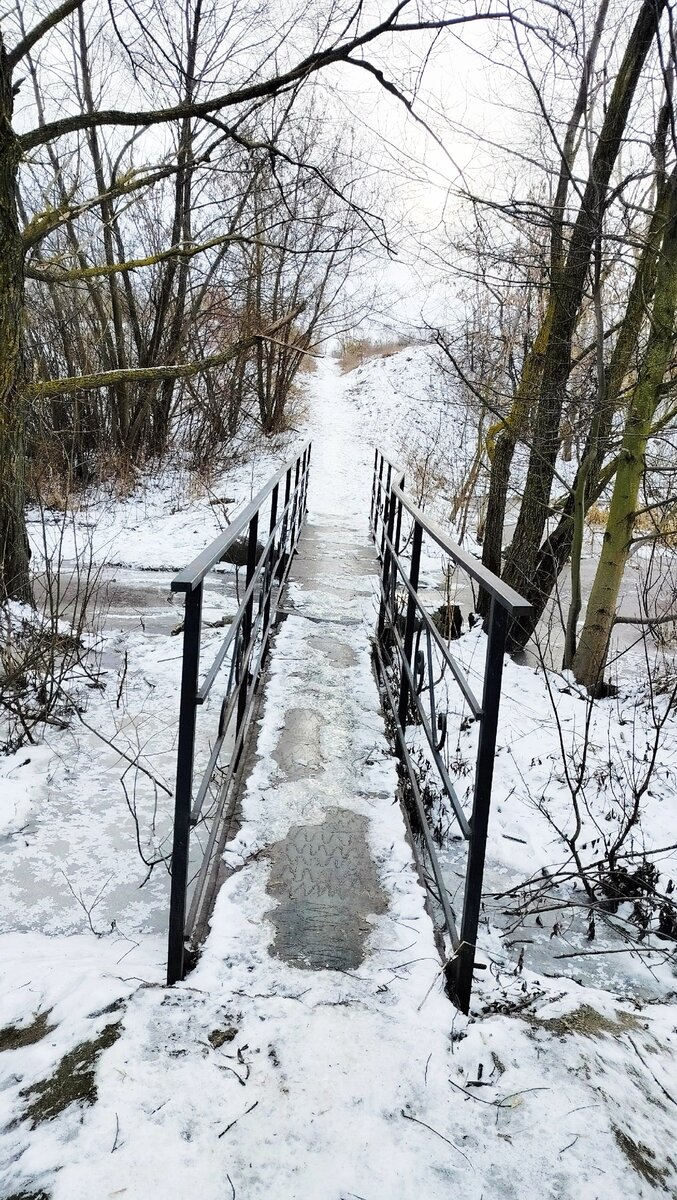 Липецкое урочище 