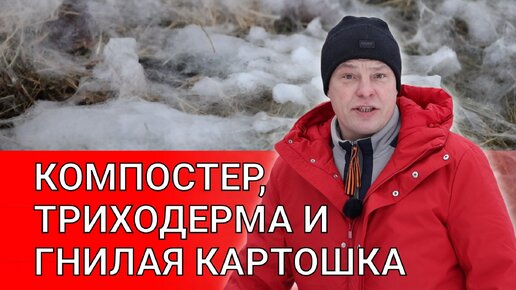 триходерма? компостер замерз, почему нельзя выкидывать гнилую картошку в компостер?