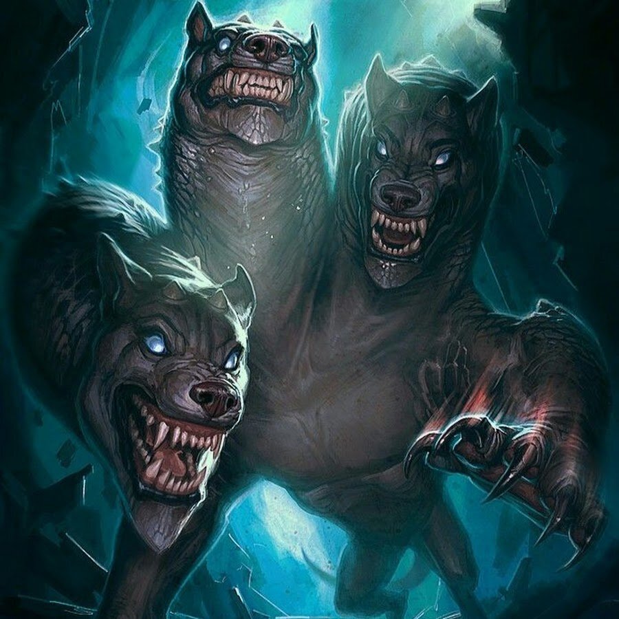 Фото из открытого источника 